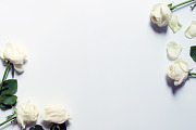White Roses Stock Mockup, a Print Template by littleprince (Thumbnail 3 of 6)