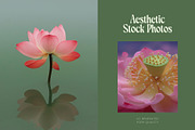 25 Vintage Lotus Flower Stock Photos, a Nature Photo by Incomelion (Thumbnail 6 of 11)