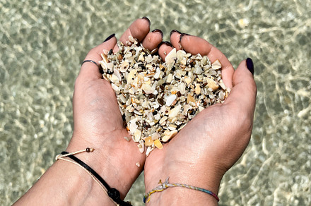 Hands in the shape of a heart with shells from Playa Conchal bea, a Nature Photo by Antonio Gravante Market