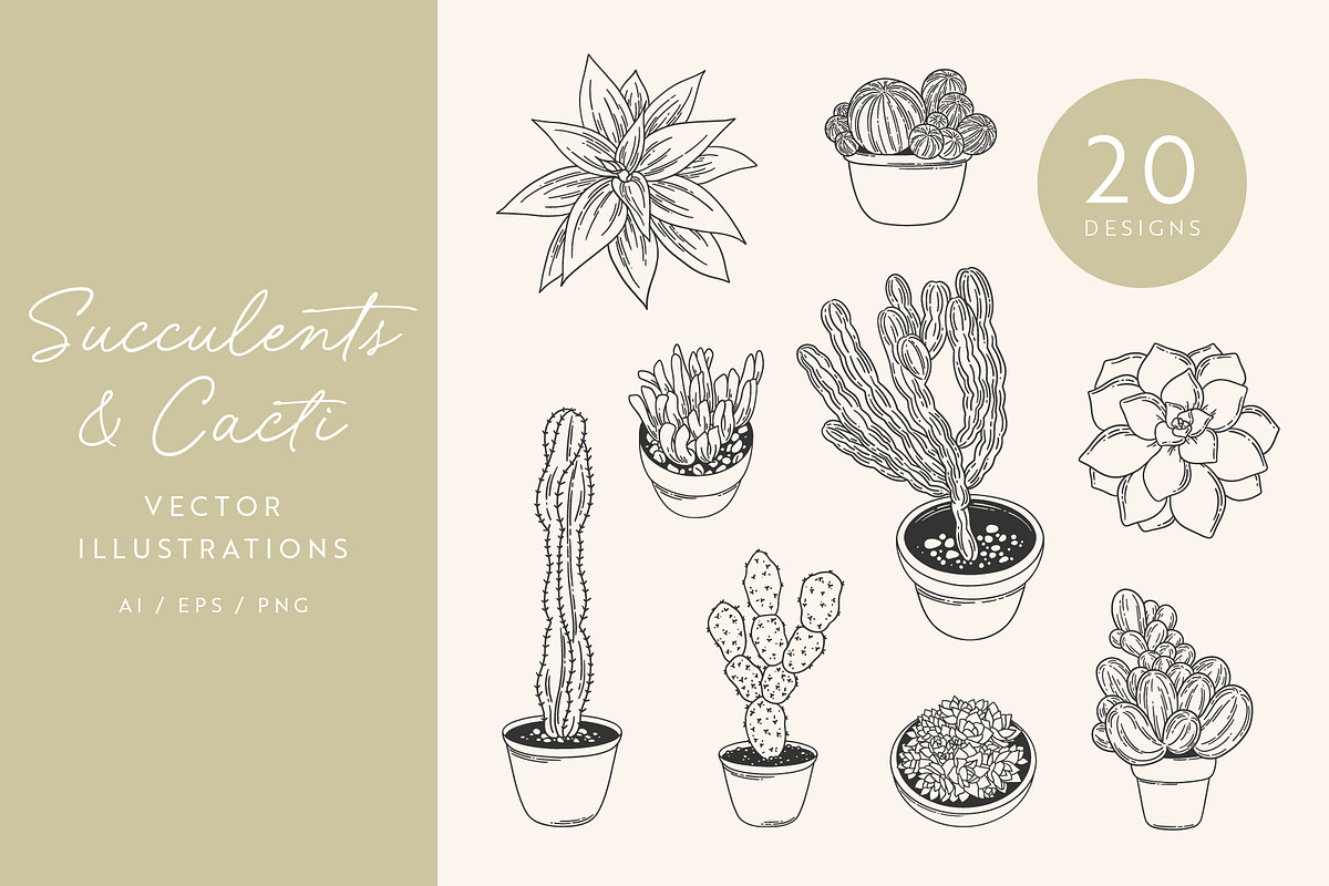 Succulents Vector Illustrations, a Decorative Illustration by Emma Webb Studio (Photo 1 of 6)