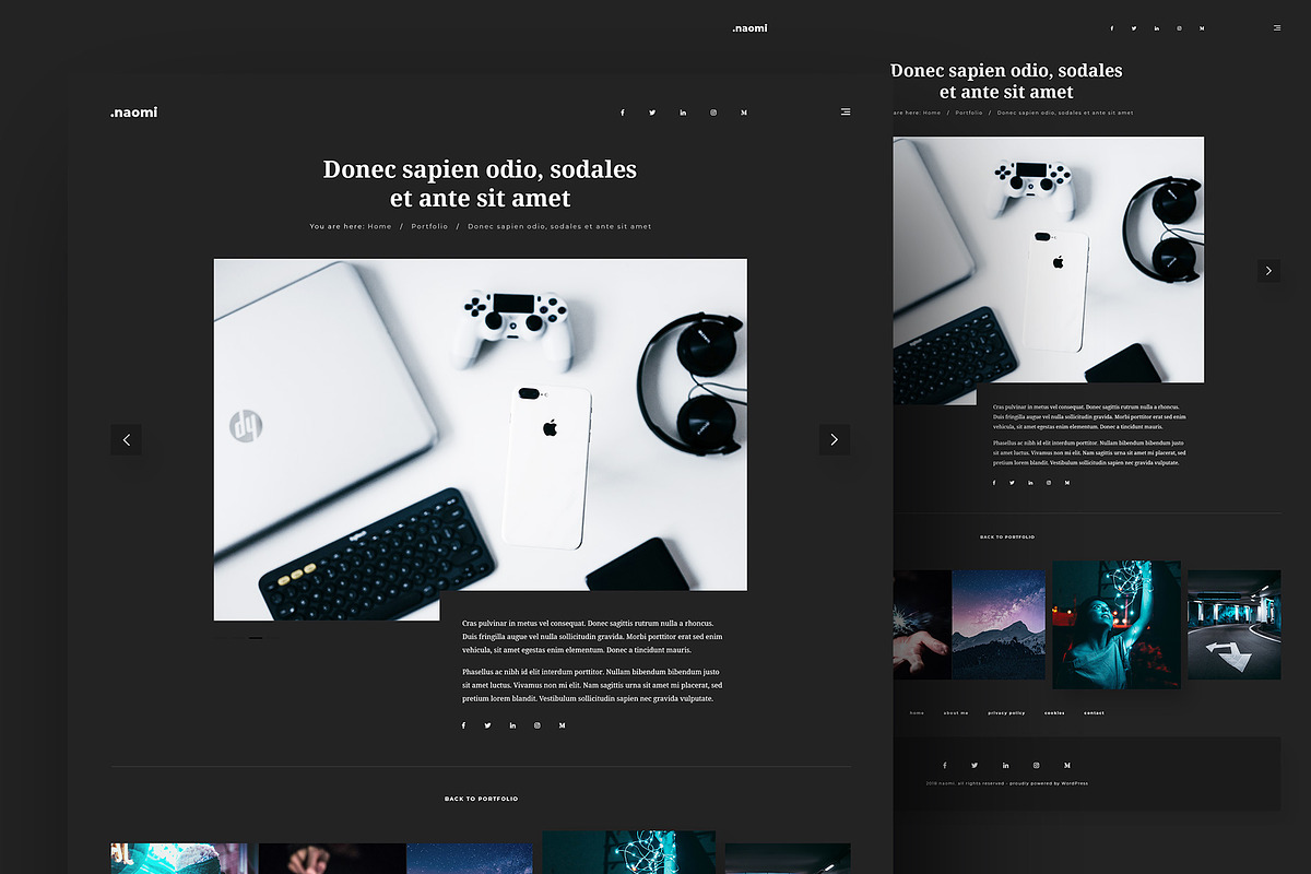 Naomi Dark - Blog & Portfolio PSD, a Websites & App Template by FreshPixels (Photo 6 of 9)