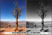 Fujifilm Black and White Film LUTs, a Plug-in Add-On by Raztrend (Thumbnail 22 of 30)