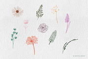 Wildflowers Procreate Stamps, a Brush Add-On by BohoCalligraphy (Thumbnail 3 of 9)