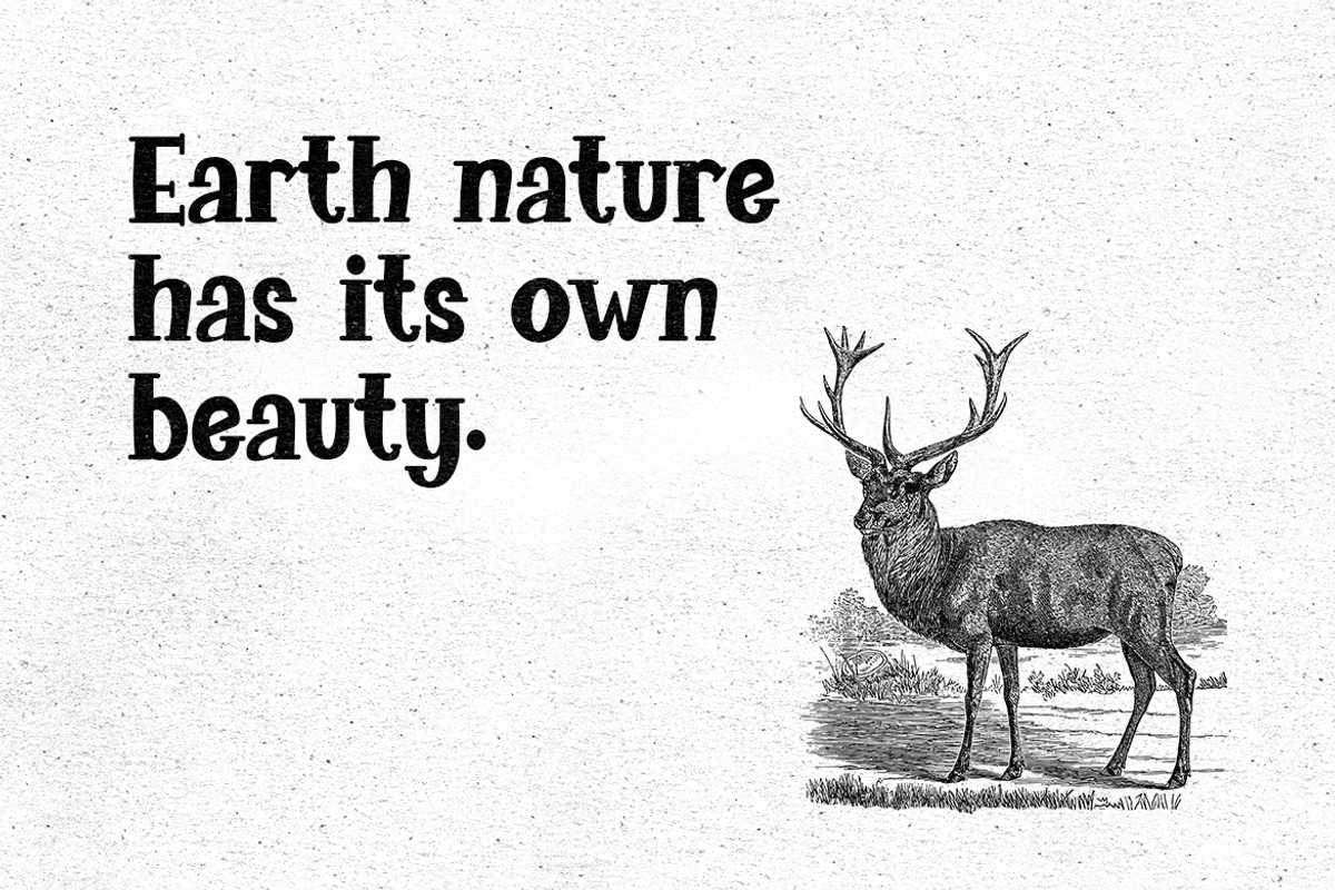 GUDTAIMS - Classic Comic Font, a Sans Serif Font by Modestype Studio (Photo 8 of 11)