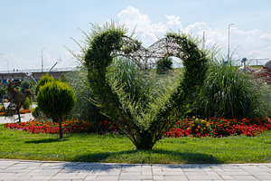 Heart-shaped topiary surrounded by vibrant flowers and green grass in a sunny p, a Nature Photo by Ales Munt