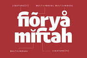 Caffie Lofie Retro Sans Serif, a Serif Font by timelesstype.co (Thumbnail 15 of 20)