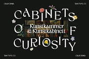 TAN - CALIFORNIA, a Serif Font by TanType (Thumbnail 15 of 16)