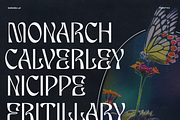 Shinobu - Elegant Psychedelic Font, a Font by Lurinzu Studios (Thumbnail 6 of 10)