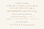 Alyusa - a modern calligraphy script, a Script Font by Siwox Studios (Thumbnail 7 of 9)