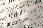 Seraline Orchid – A Graceful Modern, a Serif Font by roomspace creative lab (Thumbnail 4 of 10)