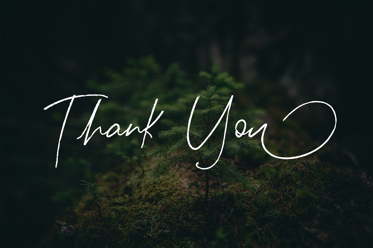 Demonstran | Inky Script, a Script Font by Crump Hand (Photo 6 of 6)