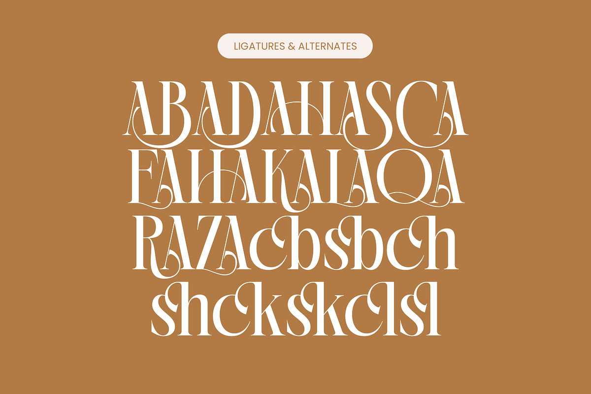 Rich Dashy Modern Elegant Serif, a Script Font by timelesstype.co (Photo 18 of 20)