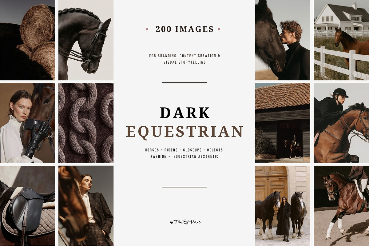 Dark Equestrian | 200 stock images, an Animal Photo by Tale.Haus (Photo 1 of 13)