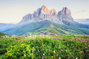 Alpine mountain summer view