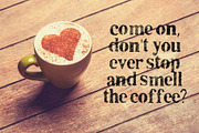 Plummer Script Typeface, a Script Font by SmartDesigns (Thumbnail 3 of 5)