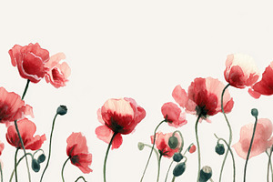 Poppies grow in a field of flowers, a Photo by Beautiful things