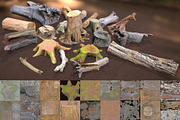 Forest Elements, an Environmental 3D Model by Beatheart Creative Studio (Thumbnail 10 of 25)