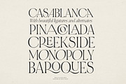 NOIR et BLANC Stylish Serif, a Serif Font by Nicky Laatz (Thumbnail 19 of 41)