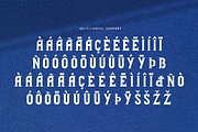 Brighton - Embroidery Serif BX Font, a Serif Font by overlaytemplates (Thumbnail 5 of 5)