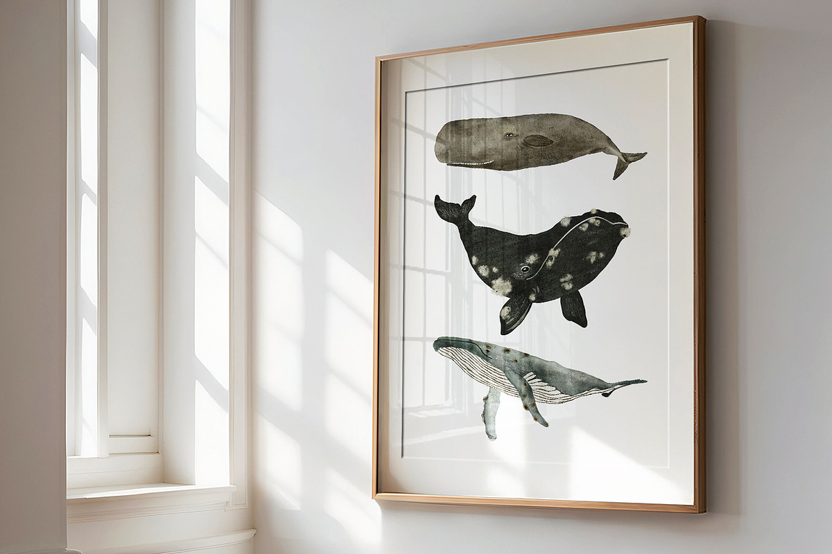 AQUATALES | 170+ elements, an Animal Illustration by Oksana Stepova (Photo 15 of 19)