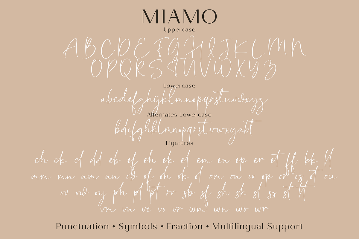 Miamo, a Sans Serif Font by Larin Type Co. (Photo 14 of 14)