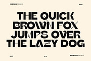 Bierika, a Sans Serif Font by senzana (Thumbnail 3 of 6)