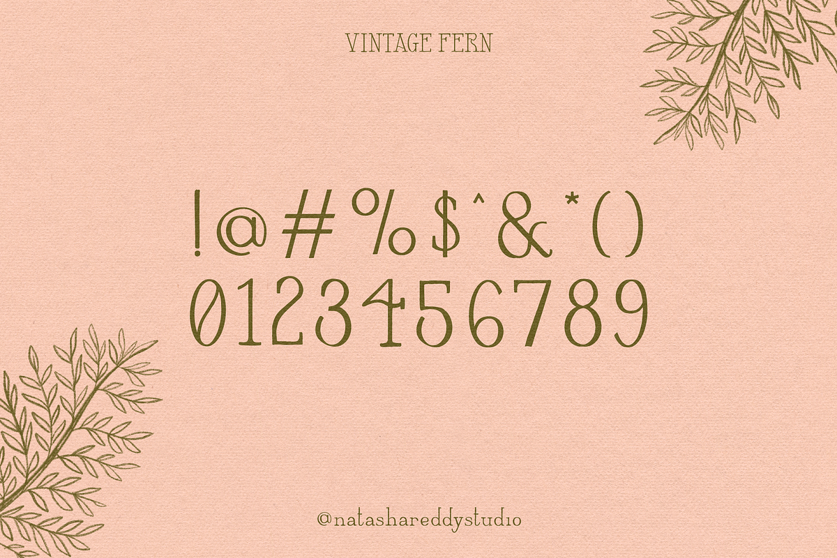 VINTAGE FERN by Natasha Reddy, a Serif Font by Natasha Reddy Studio (Photo 4 of 10)
