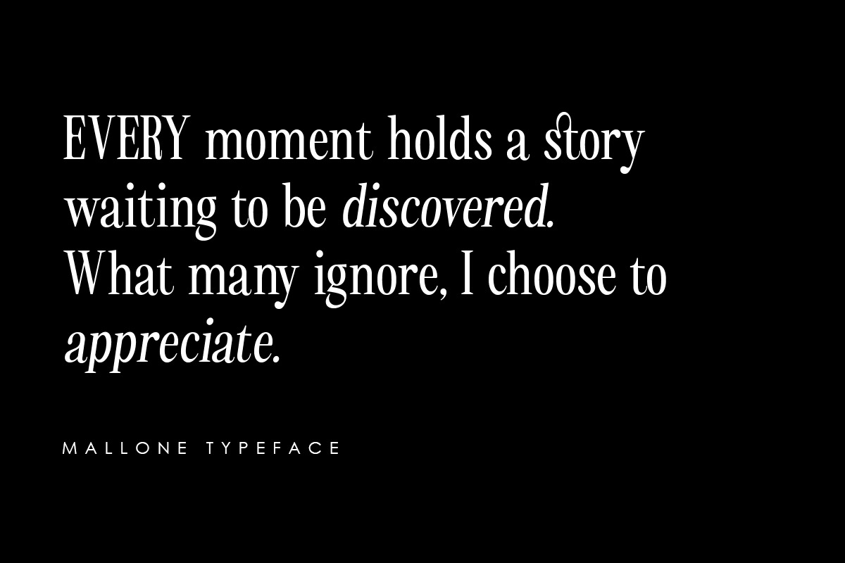 Mallone | 12 Fonts, a Serif Font by Skinny Type (Photo 4 of 10)