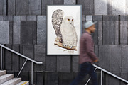 Vintage owl illustrations, an Animal Illustration by Natalka Dmitrova art (Thumbnail 4 of 7)