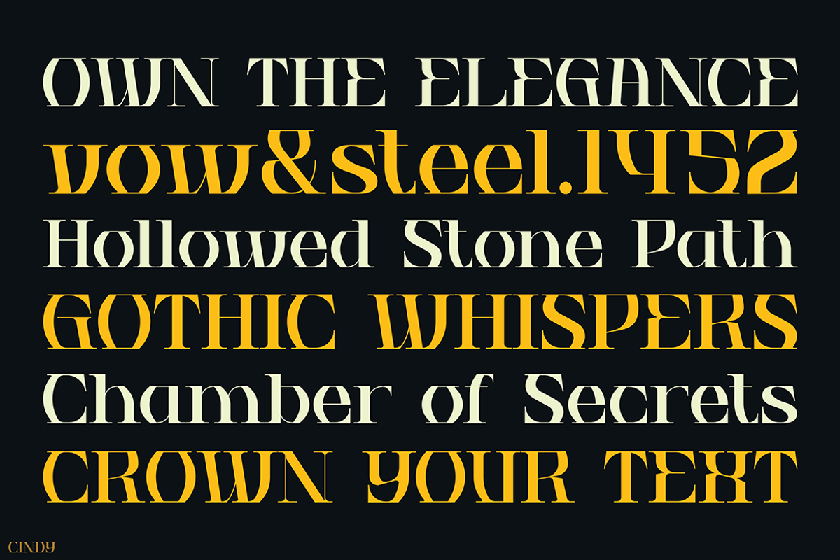 CINDY, a Serif Font by Pinisi ART (Photo 4 of 10)