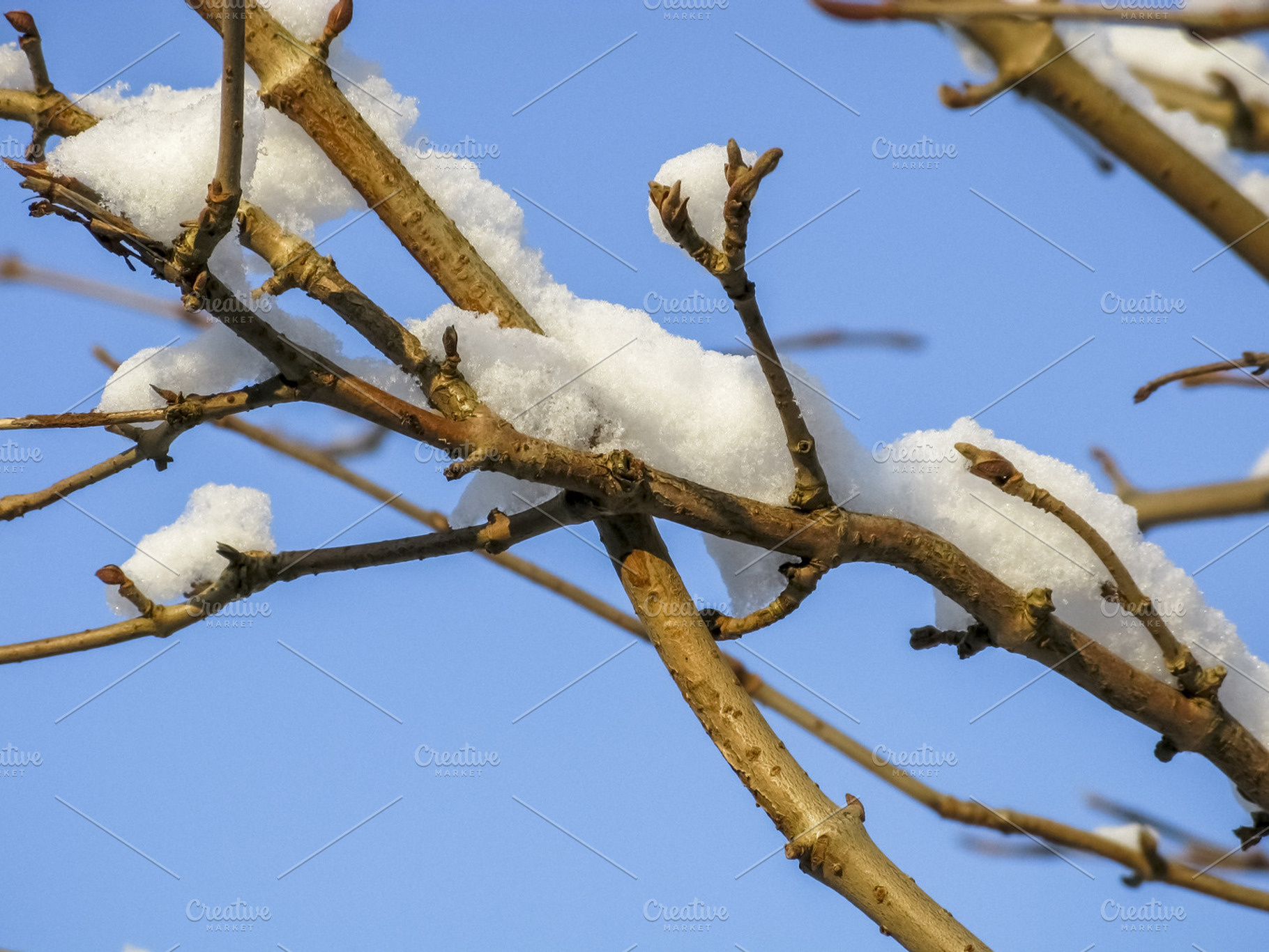 Almost Spring