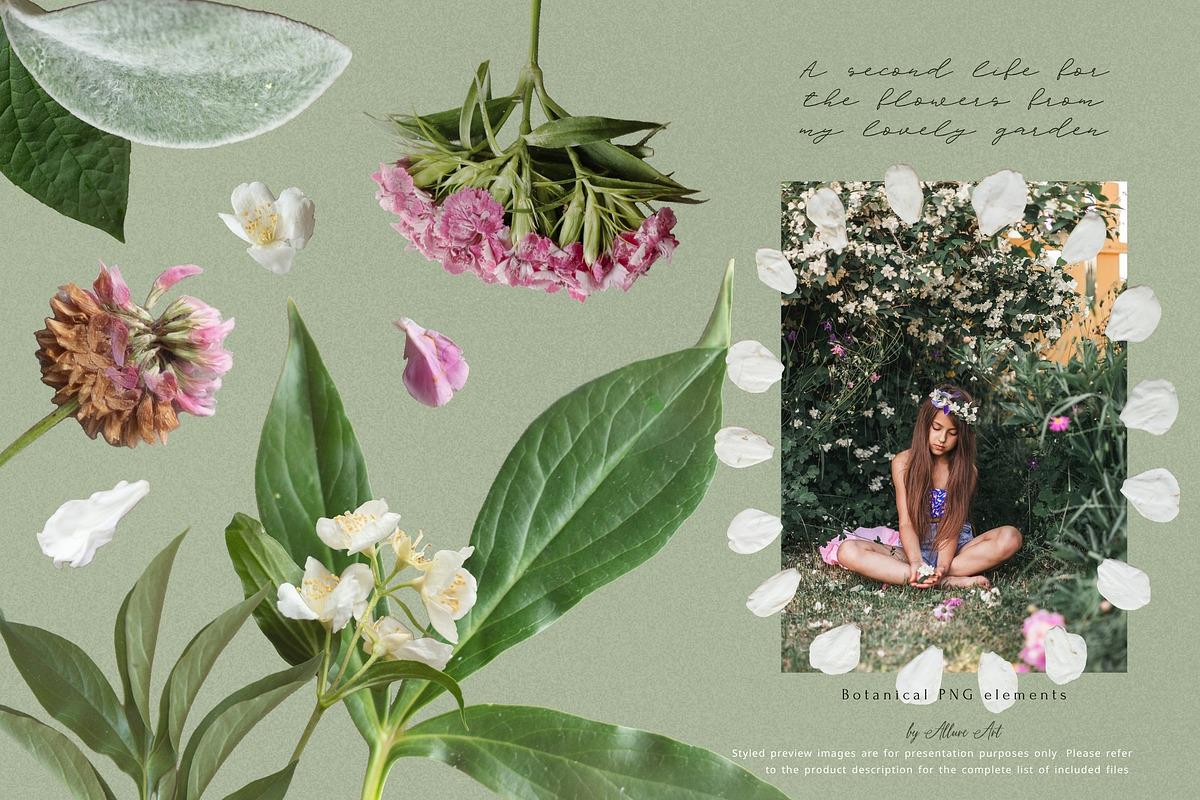 Petals Botanical Overlay Kit & Paper, an Object Graphic by Allure Art (Photo 20 of 22)