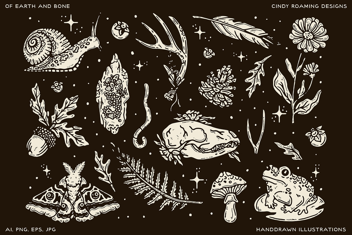 Of Earth & Bone Illustration Pack, an Illustration by cindyroamingdesigns (Photo 5 of 7)