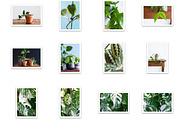 Little Jungle Image Bundle 2, an Arts & Entertainment Photo by Lum3n (Thumbnail 3 of 3)