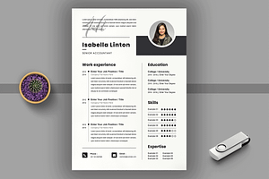 Professional Resume Layout, a Resume Template by MightyDesign