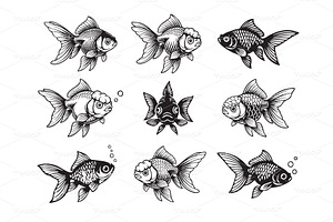 Vector set of fancy goldfish, Pet.