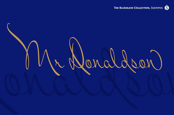 Mr Donaldson Pro preview 7
