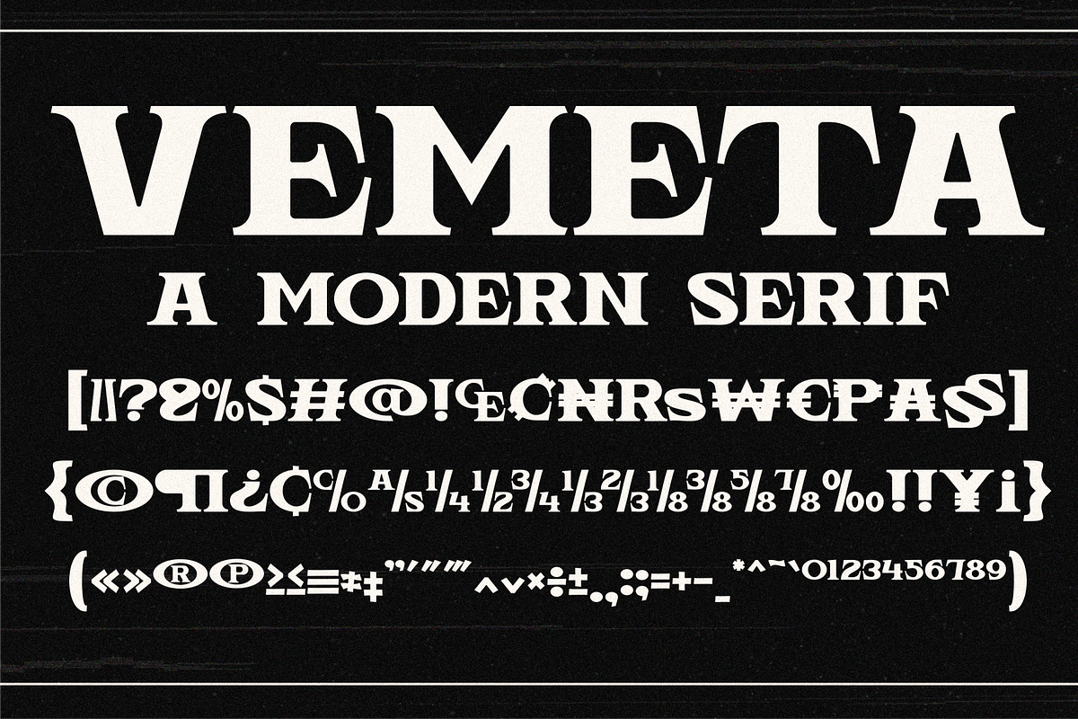 Vemeta - Modern Serif Font, a Serif Font by MaikoHatta (Photo 8 of 8)
