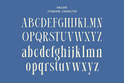 Hailove, a Serif Font by Zafiratype (Thumbnail 13 of 15)