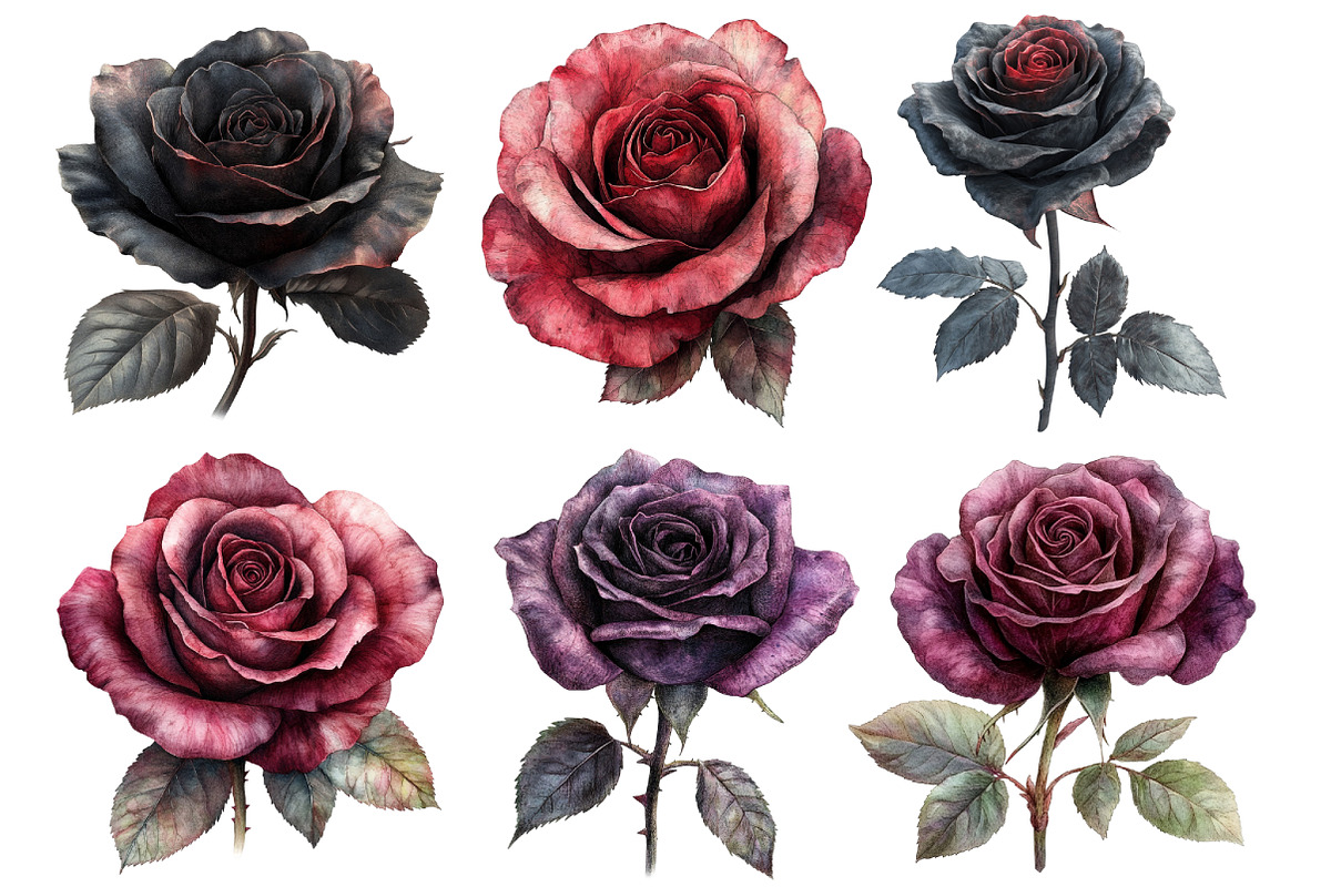 Gothic Roses Clipart PNG, an Illustration by SinaCreation (Photo 3 of 5)