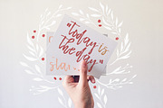 Carlagata, a Script Font by BlueRobinDesignShop (Thumbnail 3 of 8)