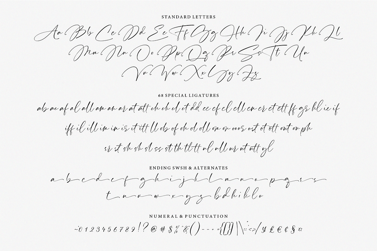 Pardone | Luxury Signature Font, a Script Font by RedyStudio (Photo 14 of 14)