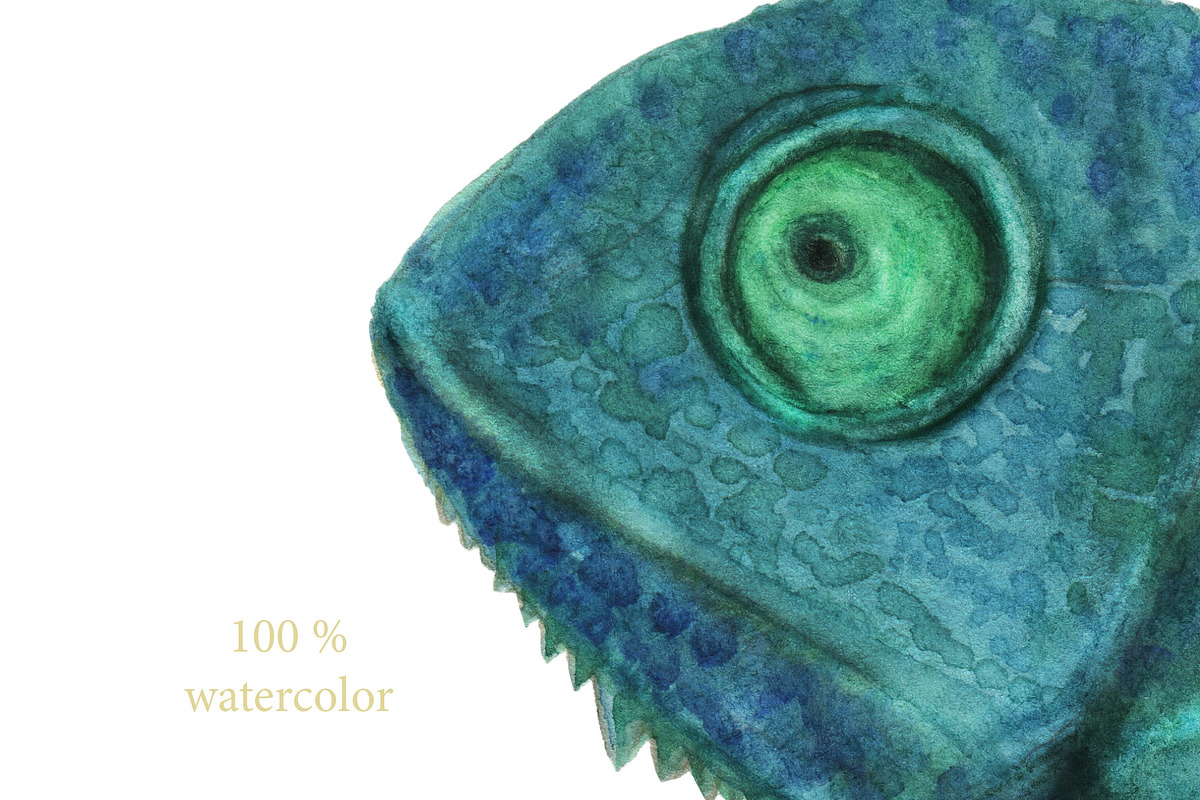 Chameleon - watercolor collection, a Pattern Graphic by ramika (Photo 4 of 6)