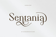 Carina classy elegant font, a Serif Font by suhadidesign (Thumbnail 5 of 14)