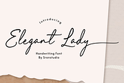 Elegant Lady, a Script Font by Sronstudio (Thumbnail 1 of 13)