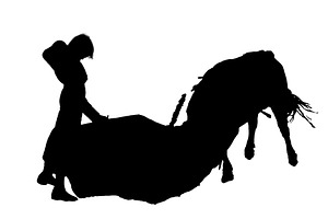 Isolated graphic of young bullfighter versus bull, a Sport Illustration by DanFLCreativo