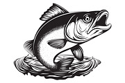 Fish Jumping out of the Water Vector, an Animal Illustration by Ghagra (Thumbnail 1 of 4)