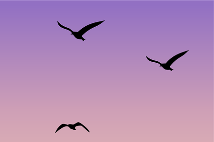 Silehouette Bird Flight (8x10), an Illustration by KhaledMuhammad1