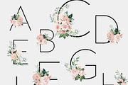 Clair & Blush - Summer Floral Set, an Illustration by studioequinox (Thumbnail 9 of 14)