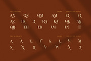 Moner Elegant Serif Font, a Serif Font by Perfectype (Thumbnail 8 of 8)